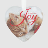 Holiday Joy Modernes & Minimales Foto mit mehreren Ornament (Vorderseite)