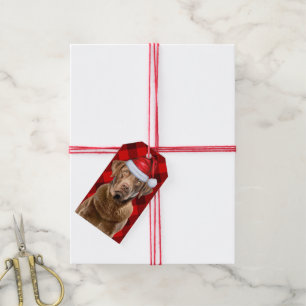 Holiday Kariert Chesapeake Retriever Dog Weihnacht Geschenkanhänger