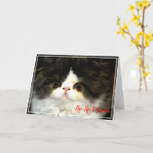 Holiday Kitten | Heilige Weihnachten Karte (Gelbe Blume)