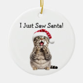 Holiday Kitty Antics Cat Ornament (Vorne)
