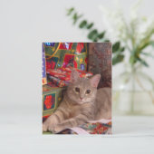 Holiday Kitty Feiertagspostkarte (Stehend Vorderseite)