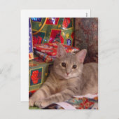 Holiday Kitty Feiertagspostkarte (Vorne/Hinten)