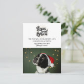 Holiday & New Year Hope & Glaube Haustier Hund Fot Postkarte (Stehend Vorderseite)