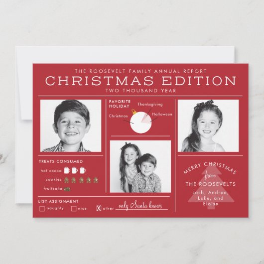 Holiday Newsletter Infografik Weihnachten (Vorderseite)