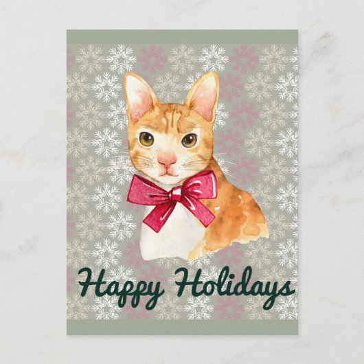 Holiday Orange Tabby Feiertagspostkarte (Vorderseite)