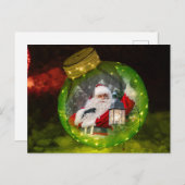 Holiday Ornament Template Postkarte (Vorne/Hinten)