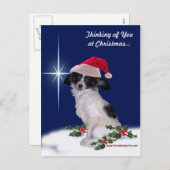 Holiday Papillon Postcard Feiertagspostkarte (Vorne/Hinten)