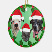Holiday Pets Keramik Ornament (Links)