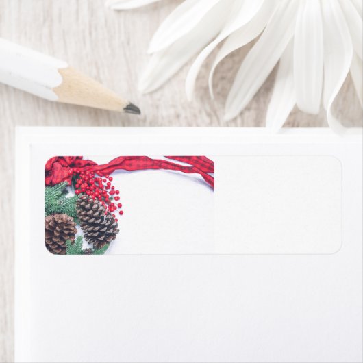 Holiday Pine Cine Collection (Insitu)