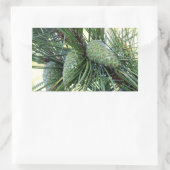 Holiday Pine Cones Rechteckiger Aufkleber (Tasche)