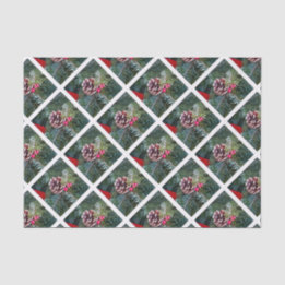 Holiday Pine Seidenpapier