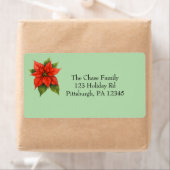 Holiday Poinsettia shipping (Insitu)