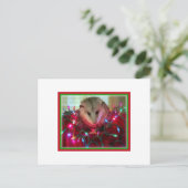 holiday possum feiertagspostkarte (Stehend Vorderseite)
