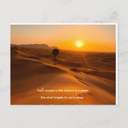 Holiday Postcard Feiertagspostkarte (Vorderseite)