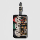 Holiday Pups Gepäckanhänger (Vorderseite Vertikal)