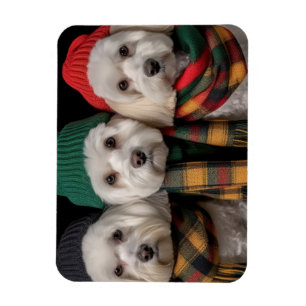 Holiday Pups Magnet