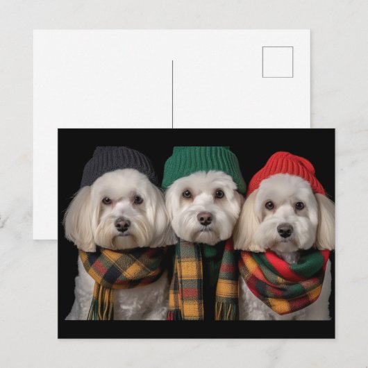Holiday Pups Postkarte (Vorne/Hinten)