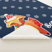 Holiday Raccoon Sherpadecke (3/4)