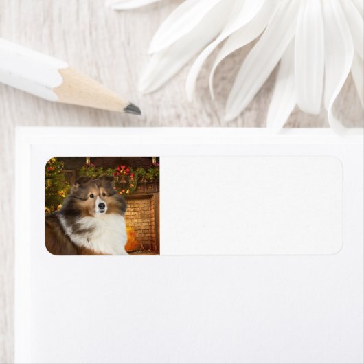 Holiday Sheltie (Insitu)