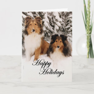 Holiday Shelties Feiertagskarte