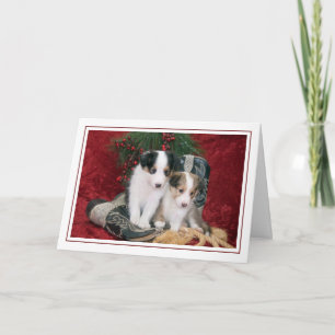 Holiday Shetland Sheepdog Welpen Feiertagskarte