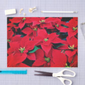Holiday Tissue Paper-Red Poinsettias Seidenpapier (Handwerk)