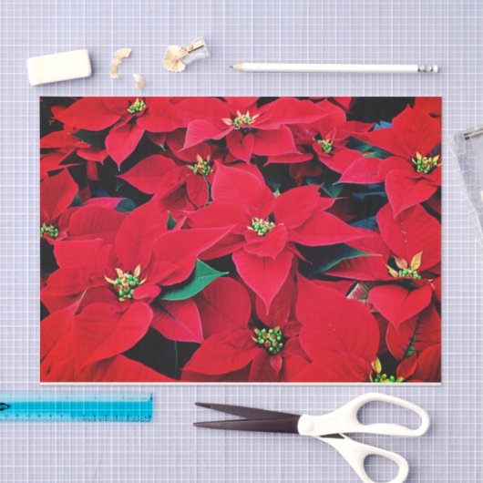 Holiday Tissue Paper-Red Poinsettias Seidenpapier (Handwerk)