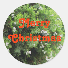 Holiday tree runder aufkleber