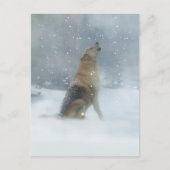 Holiday Wolf und Snow Happy Howlidays Postkarte (Vorderseite)
