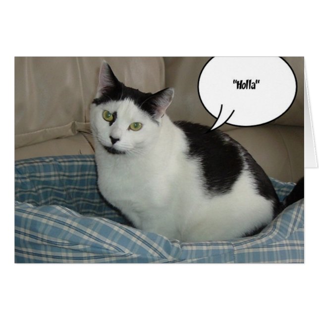 Holla (Vorderseite (Horizontal))