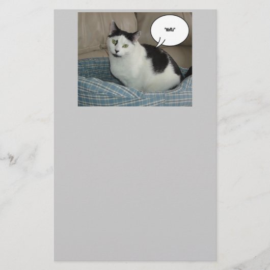 Holla Cat Spaß Briefpapier (Vorderseite)