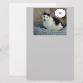 Holla Cat Spaß Briefpapier (Vorne/Hinten)