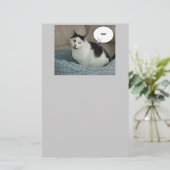 Holla Cat Spaß Briefpapier (Stehend Vorderseite)