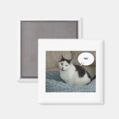 Holla! Magnet (Vorderseite/Rückseite)