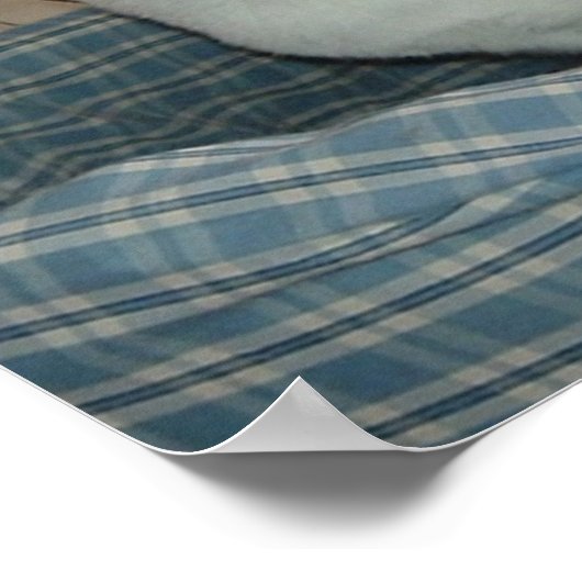 Holla! Poster (Ecke)