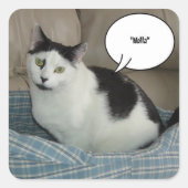 Holla Quadratischer Aufkleber (Vorderseite)