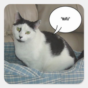 Holla Quadratischer Aufkleber