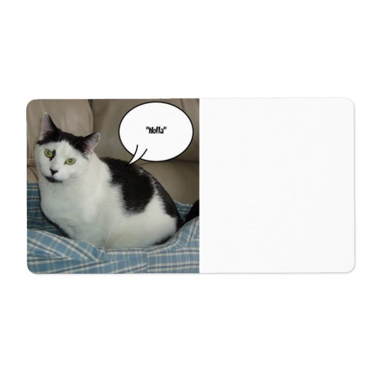 Holla /Raise the Roof! (Vorne)