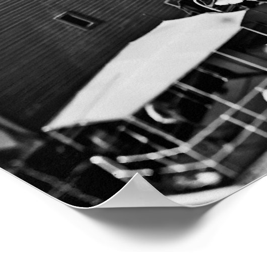 Holland America Line Poster (Ecke)