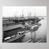 Holland America Line Poster (Vorne)