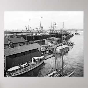 Holland America Line Poster