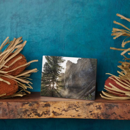 Holland Falls | Lolo National Forest, Montana Fotoplatte (Seite)