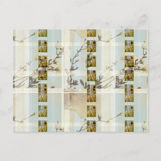 Holland FlowerPlaid Postkarte (Vorderseite)