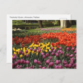Holland Keukenhof Postkarte (Vorne/Hinten)