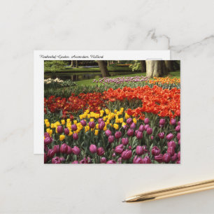 Holland Keukenhof Postkarte