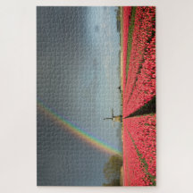 Holland-Landschaft mit Regenbogen, Tulpen,