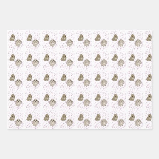 Holland lop bunnies  geschenkpapier set (Vorderseite 3)