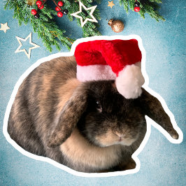 Holland Lop Bunny Daisy Custom Weihnachtssticker Aufkleber