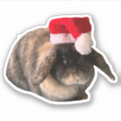 Holland Lop Bunny Daisy Custom Weihnachtssticker Aufkleber (Vorderseite)