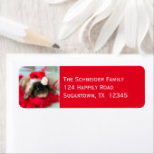 Holland Lop Bunny Rabbit Christmas Label (Insitu)